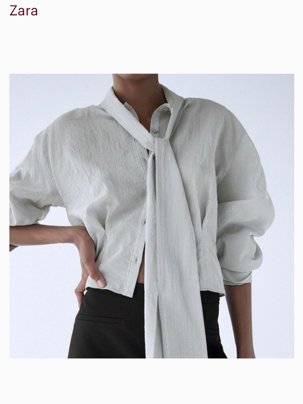 Zara Pale Gray Tie-Neck Button-Down Organza Blouse, M